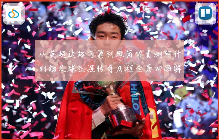 从英超边路飞翼到绿茵常青树阿什利扬足球生涯传奇历程全景回顾解析-深度解析