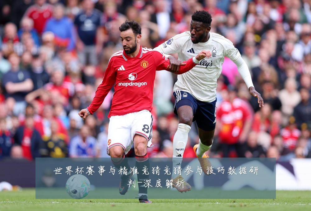 世界杯赛事与精准竞猜竞猜参与技巧数据研判-深度解析