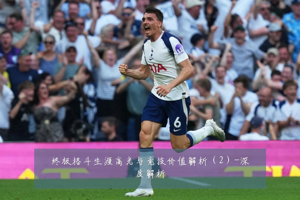 终极格斗生涯高光与竞技价值解析(2)-深度解析